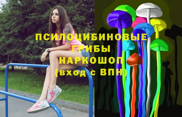 дмт Балахна
