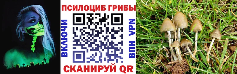 Псилоцибиновые грибы MAGIC MUSHROOMS  Жуковка 